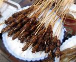Barbecued Bugs, Anyone?